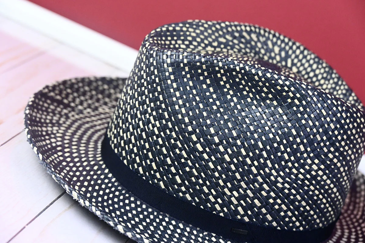 Phineas Fedora