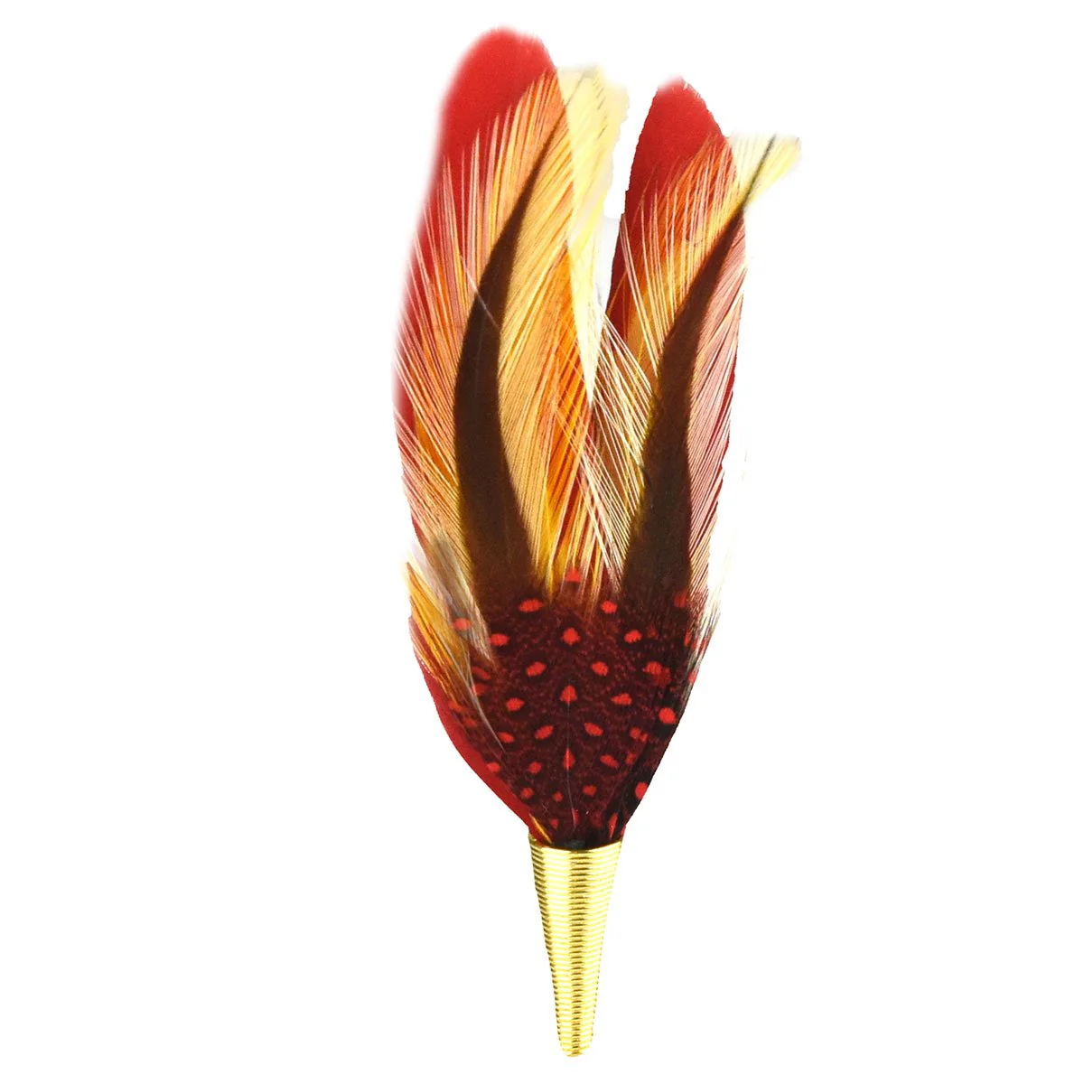 Red & Gold Feather