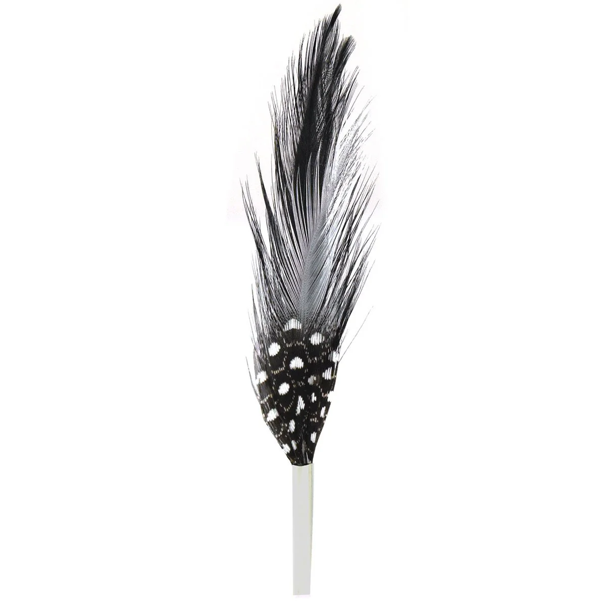 Black & White Feather