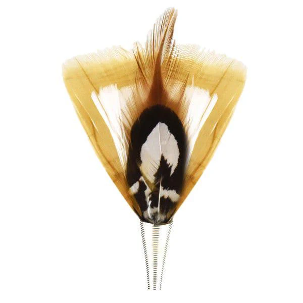 White & Tan Feather
