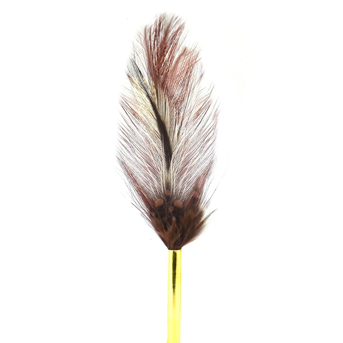 Brown Feather
