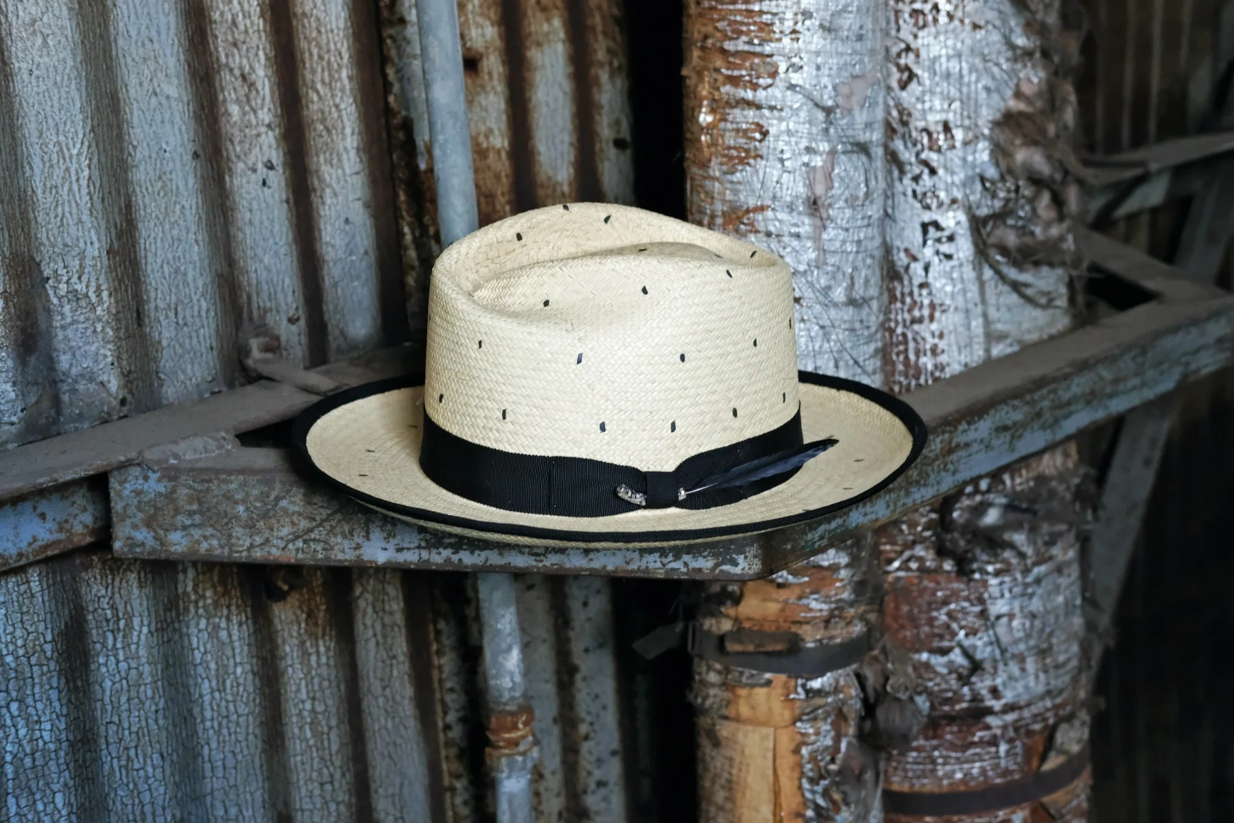 313S Fedora