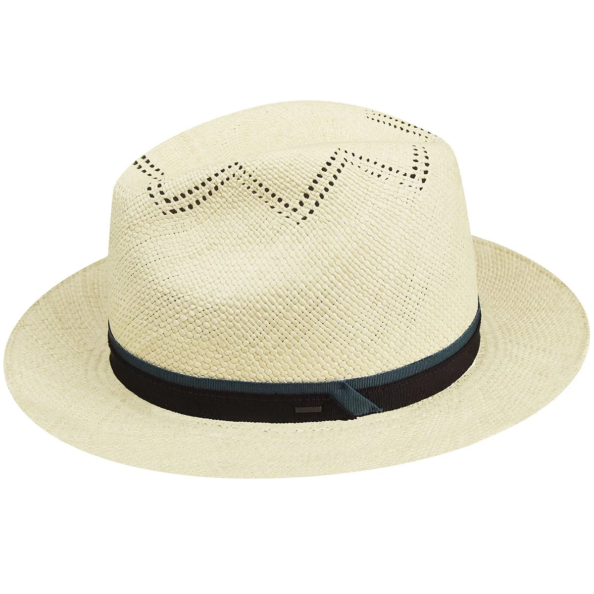 Arion Fedora