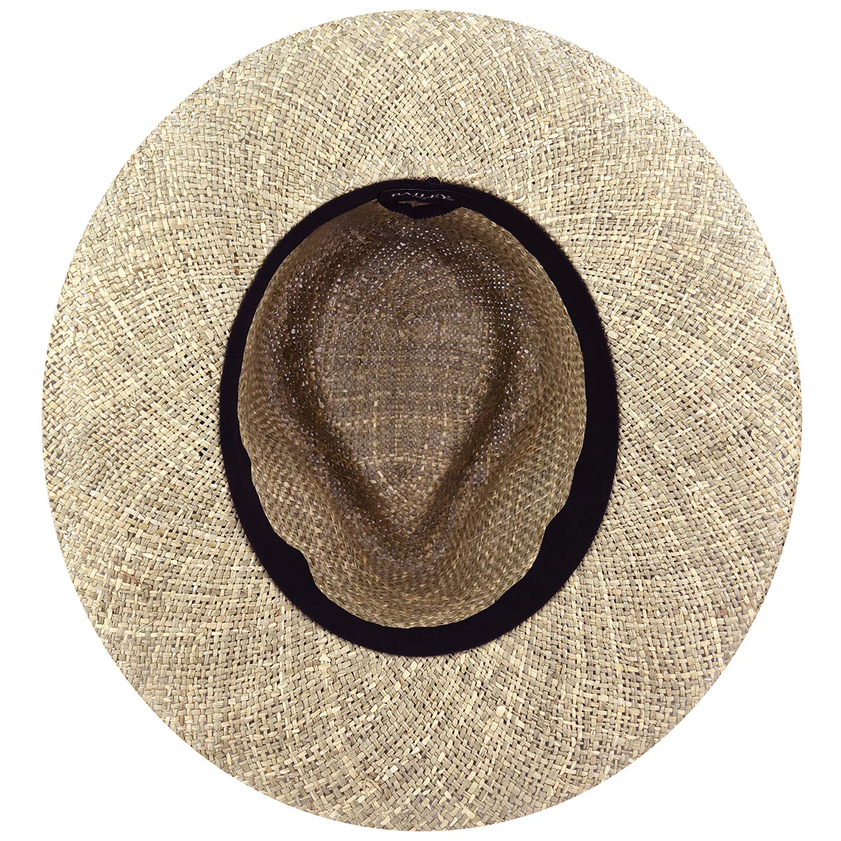 Daxton Fedora